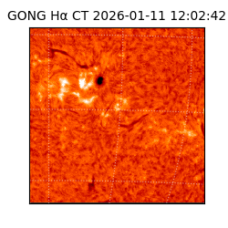 gong - 2026-01-11T12:02:42