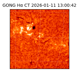 gong - 2026-01-11T13:00:42