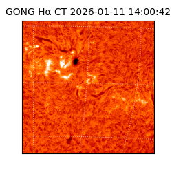 gong - 2026-01-11T14:00:42
