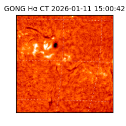 gong - 2026-01-11T15:00:42