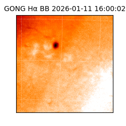 gong - 2026-01-11T16:00:02
