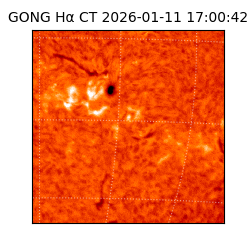 gong - 2026-01-11T17:00:42