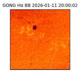 gong - 2026-01-11T20:00:02