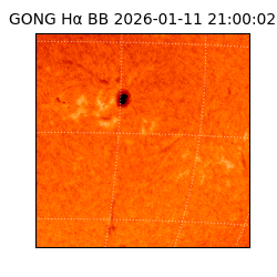 gong - 2026-01-11T21:00:02