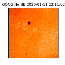gong - 2026-01-11T22:11:02