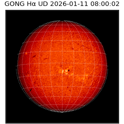gong - 2026-01-11T08:00:02