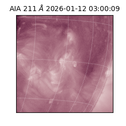 saia - 2026-01-12T03:00:09.630000