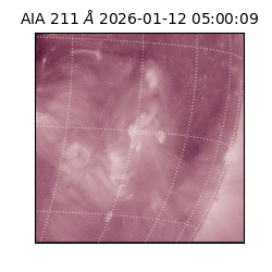 saia - 2026-01-12T05:00:09.630000