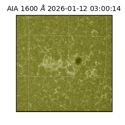 saia - 2026-01-12T03:00:14.130000
