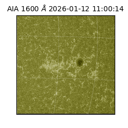 saia - 2026-01-12T11:00:14.130000