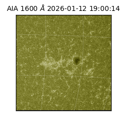 saia - 2026-01-12T19:00:14.130000
