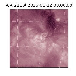 saia - 2026-01-12T03:00:09.630000