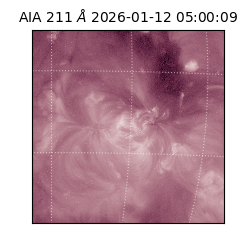 saia - 2026-01-12T05:00:09.630000