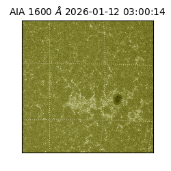 saia - 2026-01-12T03:00:14.130000