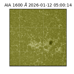 saia - 2026-01-12T05:00:14.130000