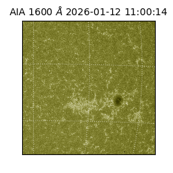 saia - 2026-01-12T11:00:14.130000