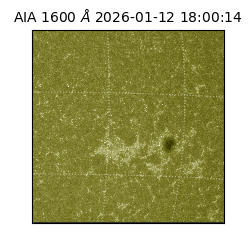 saia - 2026-01-12T18:00:14.130000