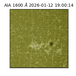 saia - 2026-01-12T19:00:14.130000
