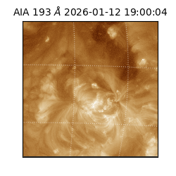 saia - 2026-01-12T19:00:04.840000