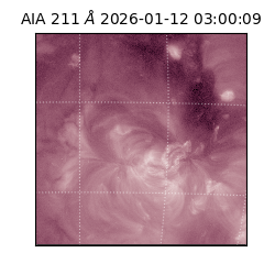 saia - 2026-01-12T03:00:09.630000