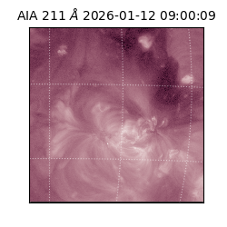 saia - 2026-01-12T09:00:09.630000