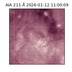 saia - 2026-01-12T11:00:09.630000