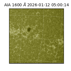 saia - 2026-01-12T05:00:14.130000