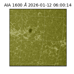 saia - 2026-01-12T06:00:14.130000