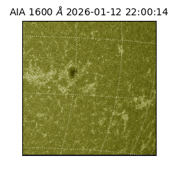 saia - 2026-01-12T22:00:14.130000