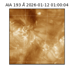 saia - 2026-01-12T01:00:04.840000