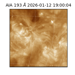 saia - 2026-01-12T19:00:04.840000