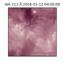 saia - 2026-01-12T04:00:09.630000