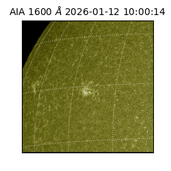 saia - 2026-01-12T10:00:14.130000
