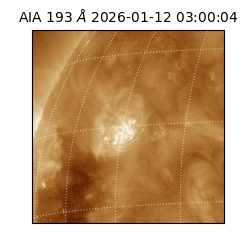 saia - 2026-01-12T03:00:04.840000