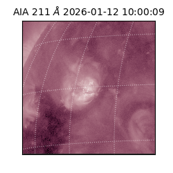 saia - 2026-01-12T10:00:09.630000