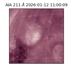 saia - 2026-01-12T11:00:09.630000