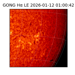 gong - 2026-01-12T01:00:42