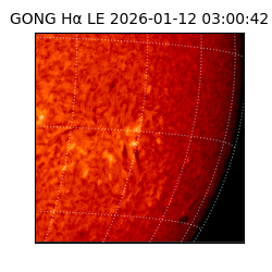 gong - 2026-01-12T03:00:42