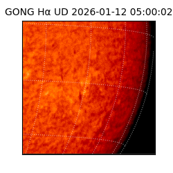 gong - 2026-01-12T05:00:02