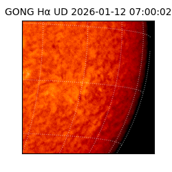 gong - 2026-01-12T07:00:02