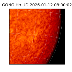 gong - 2026-01-12T08:00:02