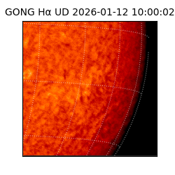 gong - 2026-01-12T10:00:02
