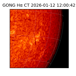 gong - 2026-01-12T12:00:42