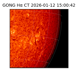 gong - 2026-01-12T15:00:42