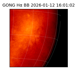 gong - 2026-01-12T16:01:02