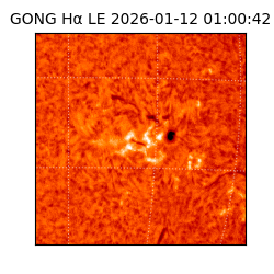 gong - 2026-01-12T01:00:42