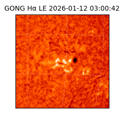 gong - 2026-01-12T03:00:42