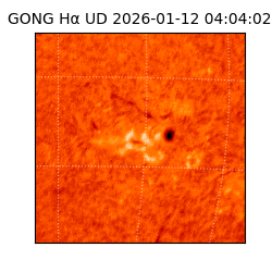 gong - 2026-01-12T04:04:02