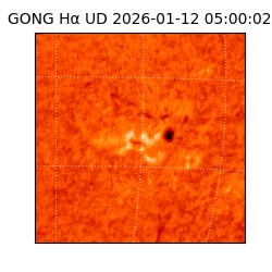 gong - 2026-01-12T05:00:02