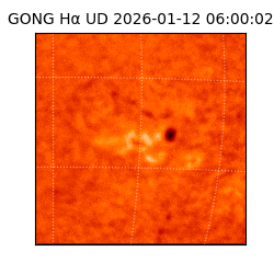 gong - 2026-01-12T06:00:02